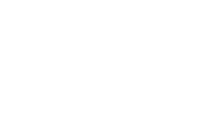 TD Fiber